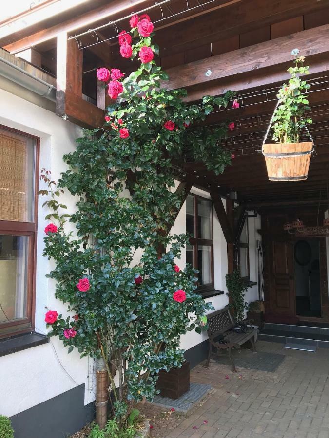 Wieko Ferienwohnungen Plauen Exterior photo